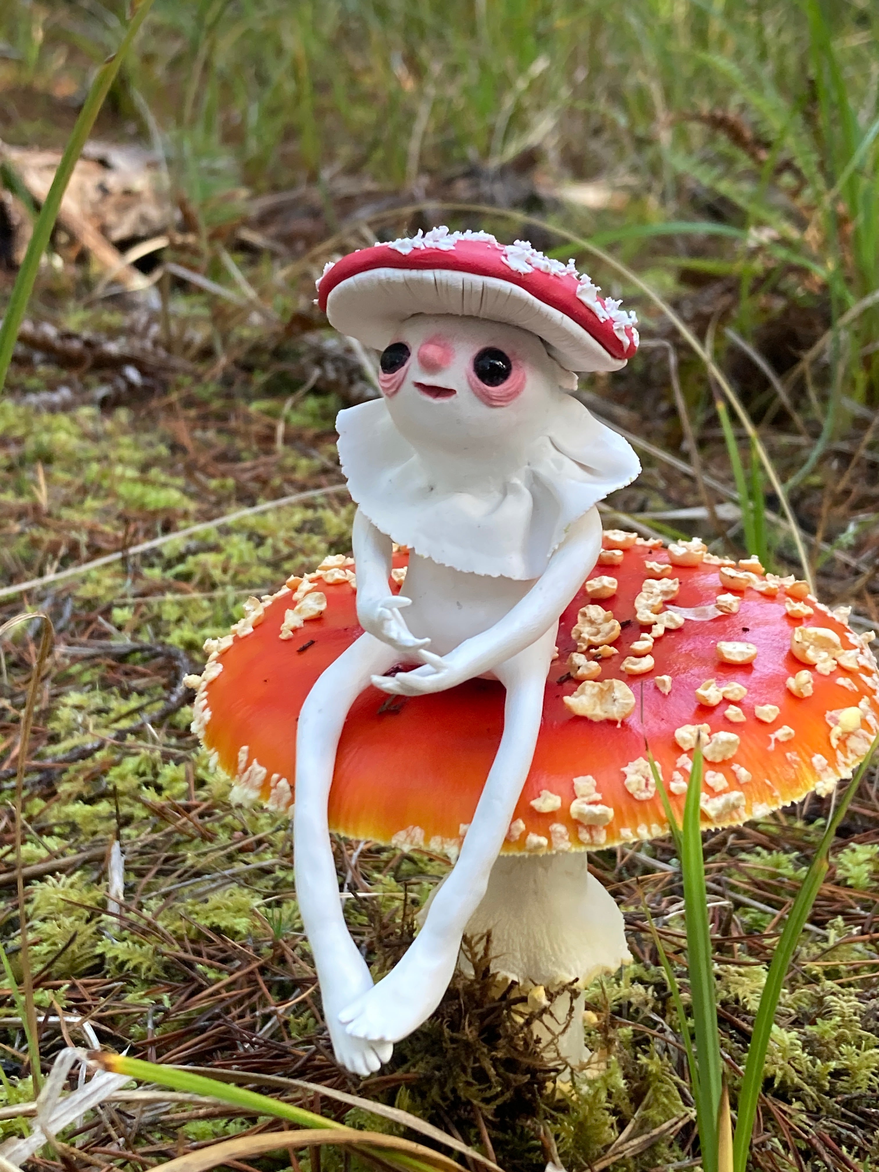 Mushrooms, Moss and Lichen